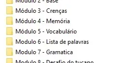 Inglês em 12 Semanas - Andrei Toribio (Tucano)