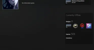 501 jogos, Nível 13 steam, Com infos de criação