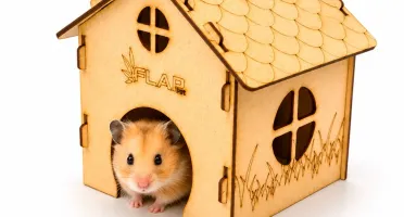 Kit 2 Casinhas Premium para Hamster - Flap Pet