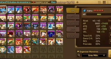 Ragdoll E Maya - 2Nat5 Ld - Barato!!!