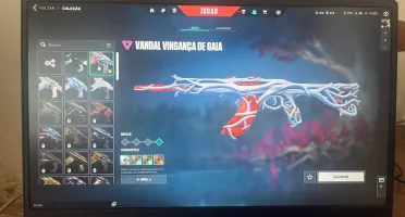 +1000 gastos/pacote ORA/Vandal gatinho, Gaia/ phantom video