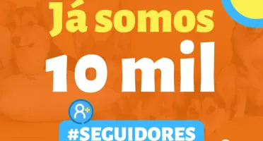 Revenda Seguidores / Curtidas / Visualizações para Redes