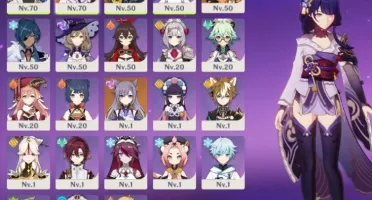 Wanderer C1 + Arma Assinatura + Raiden + Tighnari+Keqing