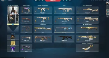 Conta Valorant + De 3000 Reais Gastos