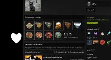 CONTA RARA !!! | 26 MEDALHAS | LVL 111 STEAM | EMAIL NATIVO