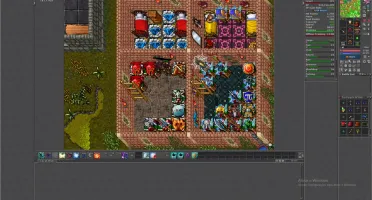Char Tibia Optional PVP ED 321
