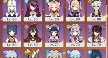 Hu Tao e Ayaka Super Fortes + 9 personagens 5* + 5 armas 5*