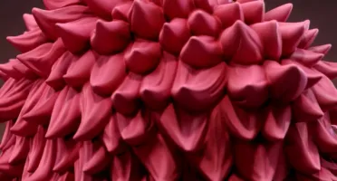 Doflamingo bust 3d stl