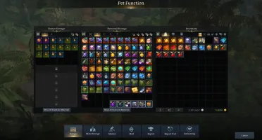 Conta end game Lost Ark