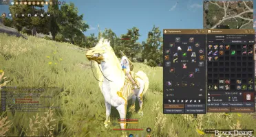 Shai Lifeskill - Barato