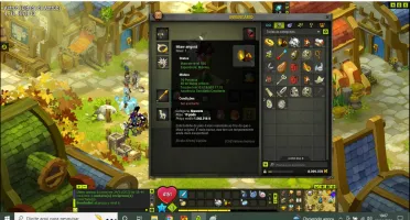 Conta dofus Lvl 200