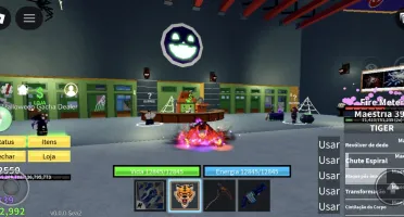 Roblox ( Blox Fruits )