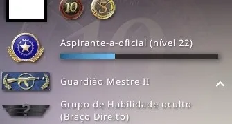 CONTA STEAM 15 ANOS/CSGO PRIME