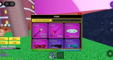 Conta de blox fruit rica