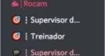 MONTO DISCORD DE RP, DECORO E CONFIGURO BOTS (7)
