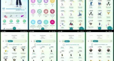 Lv44 | 6x Mewtwo | 17 Backgrounds Raros | F030