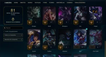 Ferro 1 com 35 Champs e 50 Skins