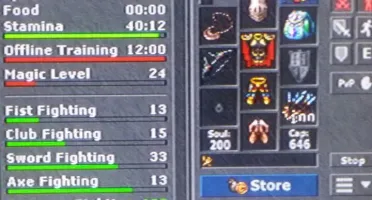 Vendo Paladin, Lv: 167 / Ek:104 / Ek103