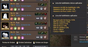 Conta BDO SA maids,pets,potinfinita,trajes