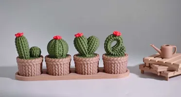 Kit de Vasinhos Love Cactos - 4 Cores