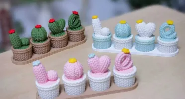 Kit de Vasinhos Love Cactos - 4 Cores