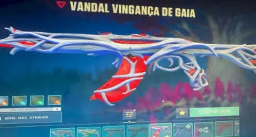 Conta Valorant