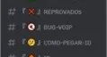 MONTO DISCORD DE RP, DECORO E CONFIGURO BOTS (8)