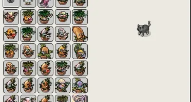 Conta habbo