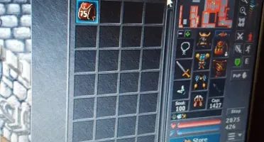 Tibia paladin lvl 277 Quintera