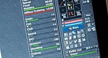 Tibia paladin lvl 277 Quintera