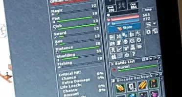 Tibia paladin lvl 277 Quintera