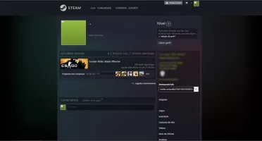 CONTA CS GO - LVL 18 GC 300 HORAS DE CS