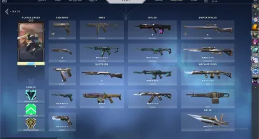 Conta Valorant D2 com as 2 coleções de skins