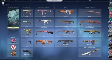 CONTA DE VALORANT COM R$733 EM SKINS