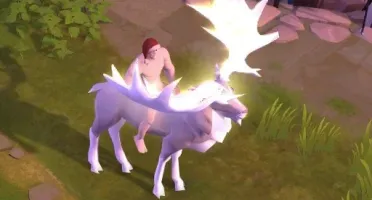 albion conta