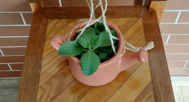 Cachepot regador terracota com suporte de parede