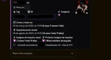 Conta Discord Boost Up Level 9