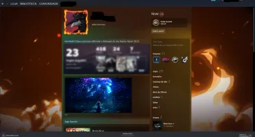 Conta Steam 5 Anos (CSGO Prime+824hrs) (Paladins +400skins)