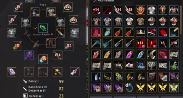 BDO SA Archer 303/299/310 + email full p2w