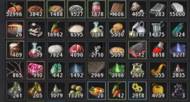 BDO SA Archer 303/299/310 + email full p2w