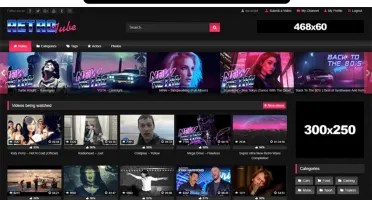 Tema Adulto + Plugin Importador De Videos Em Massa Original