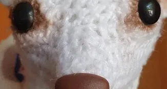 chihuahua de amigurumi
