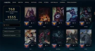 Bronze 4 com TODOS os Champs e 489 Skins ( ADC / SUP / TOP )