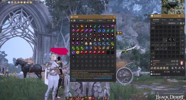 Conta bdo 793gs