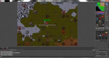 tibia