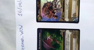 Trading Card Game (TCG) - World of Warcraft