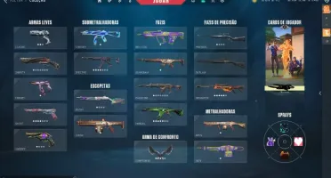 Conta Valorant Gasta 3 Mil Reais Full Acesso
