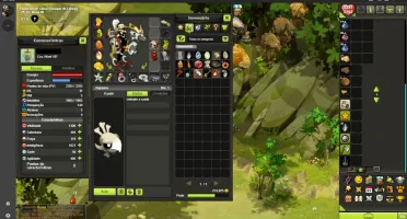 Conta Dofus