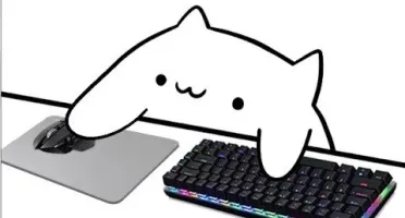 Bongo cat (webcam personalizada)