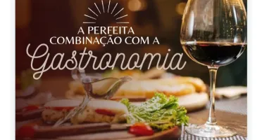 templates editáveis de vinhos no Canva: